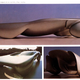 Illustration for article titled The Bulging, Twisty Future, As Imagined by Designer Luigi Colani